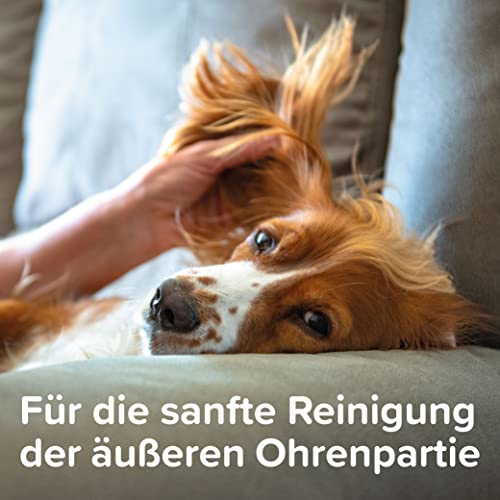 BEAPHAR - Sensitiv Ohrenreiniger - Für Hunde Und Katzen - Mit MSM (MethylSulfonylMethan) - Besonders Mild Und Reizarm - Zur Sanften Pflege Der Äußeren Ohrenpartie - 0% Alkohol - 50 ml