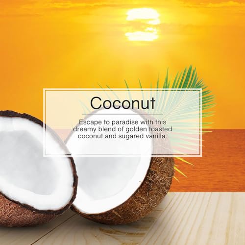 Image of LITTLE TREES Car Air Freshener | Hanging Tree Provides Long Lasting Scent for Auto and Home | 4 Air Fresheners |Coconut (Pack of 36)