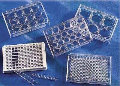 Costar 3513 12-Well Multiple-Well Cell Culture Plates with lid, Treated, sterile, 1/pk