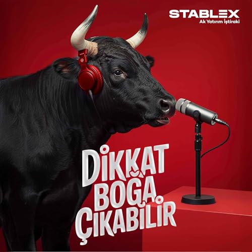 『Dikkat Boğa Çıkabilir』のカバーアート