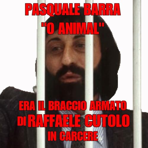 Storia di Pasquale Barra O' Animale il braccio armato di Raffaele Cutolo nei carceri copertina