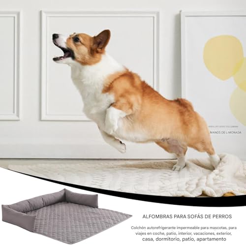 Colchón refrescante para perros en sofá cama ideal para terraza e interior 4