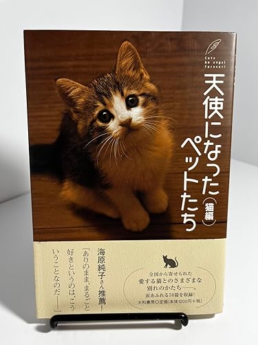 天使になったペットたち 猫編の詳細を見る