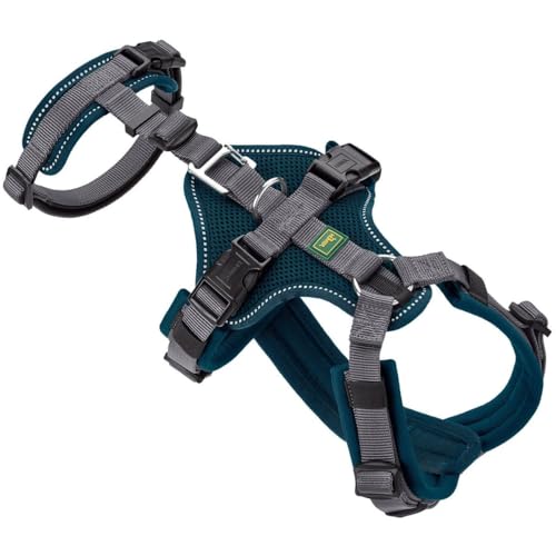HUNTER Sicherheitsgeschirr Maldon Farbe Petrol/grau, Größe S-M