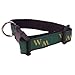 NCAA William & Mary Tribe Dog Collar (Team Color, Large)