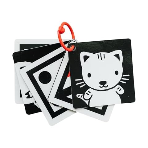 The Original High Contrast Montessori Flashcards for Baby with Stroller Clip by Genius Baby Toys Cover