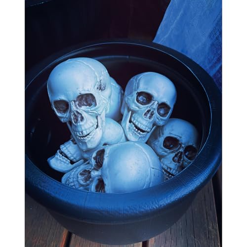 Fun Express Bag of Realistic Bulk Skeleton Skulls 5 Inch Human Skulls Halloween Decorations, Bar and Table Halloween Decor, Spooky Yard Decor - White (12 Pack)4