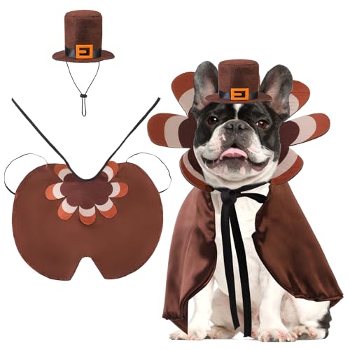 KOOLTAIL Dog Thanksgiving Costume Thanksgiving Turkey Cape and Hat Set for Small Medium Large Dogs Cats Puppy Funny Dog Witch Clothes Cosplay Dress Wizard Outfit Mantle Apparel for Holiday Party L