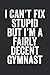 I Can't Fix Stupid But I'm A Fairly Decent Gymnast: Blank Lined Journal