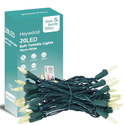 Heyworld Slow Twinkle Lights, 20 Led Soft Twinkling Mini Christmas
