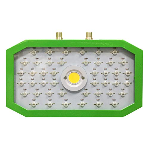LED Pflanzenlampe 1000W, Vander Led Grow Light Vollspektrum Wachsen Licht Lampe Wachstumslampe Pflanzenlicht Für Zimmerpflanzen Gemüse Und