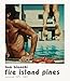 Tom Bianchi: Fire Island Pines, Polaroids 1975-1983