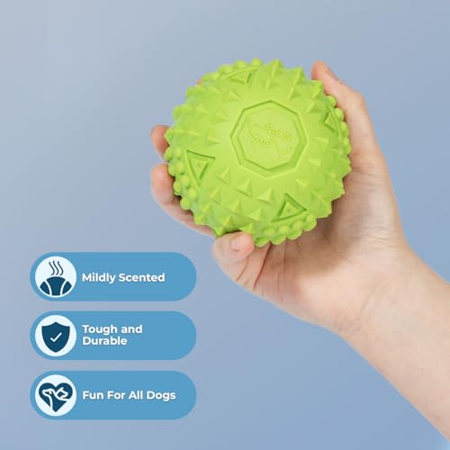 Image of Best Pet Supplies Squeaky Dog Toys with Soft Durable Fabric for Small, Medium and Large Pets Interactive Toy for Indoor Play, Supports Active Biting and Play - Fuchsia, Green (L:3.5 inch)