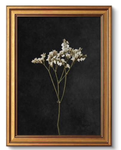 Image of NALEPS Dark Dried Floral Framed Wall Art, Moody Flower Wall Decor, 12x16 In