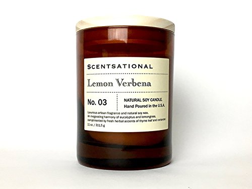 Scentsational Lemon Verbana Scented | Natural Soy Candle | Hand Poured in The USA, Clear