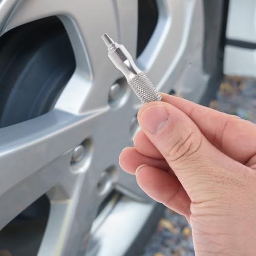 Image of Hariendny 1Pcs Stainless Steel Valve Core Remover, Portable Valve Core Removal Tool, Small Silvery Tire Valve Disassembly Tool, Tire Valve Stem Tool for Automotive Motorcycle Bicycle Truck
