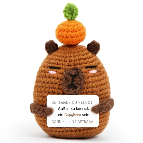 HUKUMA Positive Geschenke Capybara Kuscheltier,Gehäkeltes Emotional...