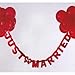 Produktbild Everflag Schriftband Just Married rot 1,25m lang, mit roten Ballons (Hochzeit)