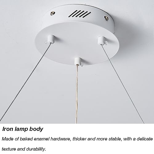 Suspension LED circulaire design moderne en acrylique 1 anneau variable