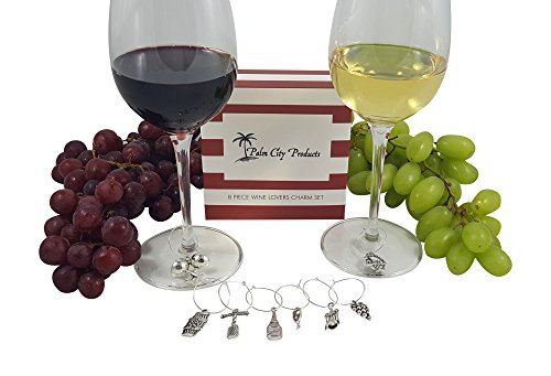 Palm City Products Two Gorgeous Wine Charm Sets – 18 Pieces Total, Wine Lover And World Traveler Themes #TOP1