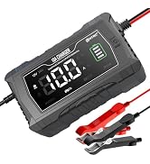 MASKO® Ladegerät Autobatterie 12V 2-15Ah/24V 2-100Ah Intelligentes Vollautomatisches KFZ