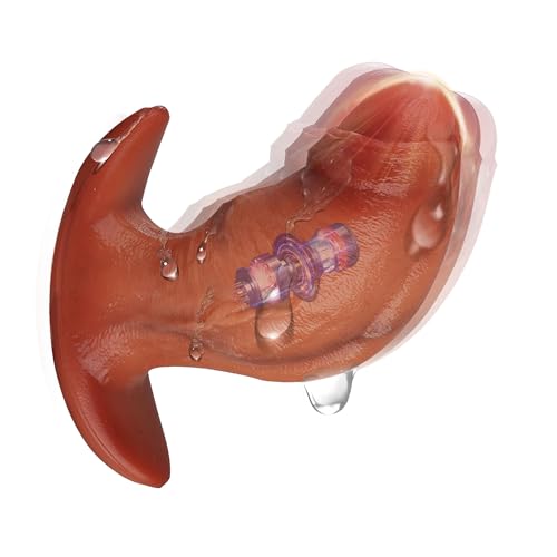 ChicLSQ Analplug Vibrator mit 10 Vibrationsmodi & Fernbedienung – Analvibrator für Männer & Frauen Prostata Stimulator Wasserdichtes Sexspielzeug mit Magnetischem USB-Laden