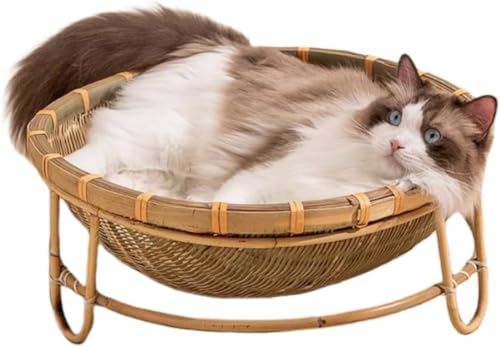 SefoemutLpxbh LbgnEX ҂ݕ҂ |҂݁A h[^LnEX ^ Lxbh L L nEX  LnEX xbh ϊ JS }bgt lGʗp Č ʂ 􂦂 ȒP  (a30Z`)