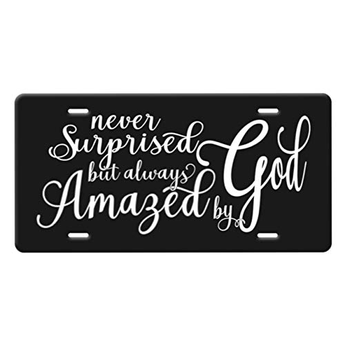 Best Plate For Car With Words Jesus