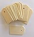 Lynmmax Wood Gift Tags/ Blank Wooden Tags for Wine, Decor, Weddings (pkg of 100)