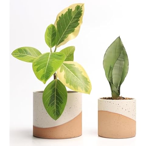 JOFAMY Ceramic Pots for Indoor Plants Cover