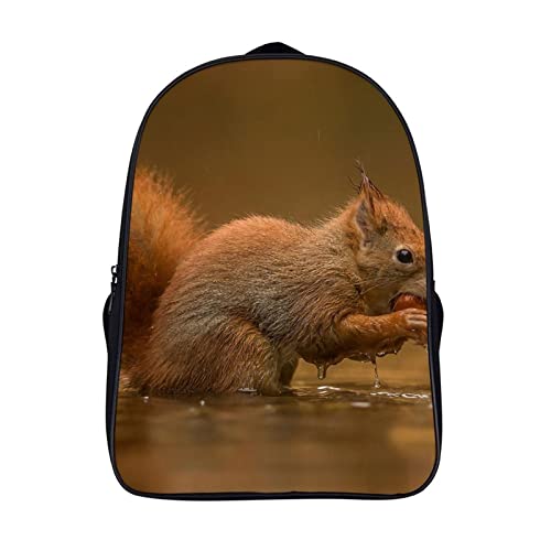 Sac à dos mode animal écureuil pour adolescents et adultes 40x28x16cm