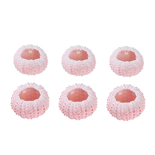 Happyyami 6 Piezas Soporte de plantación Natural Decoraciones de Pescado Titulares Planta de Aire de Erizo de mar pilluelo contenedor de Plantas de Tillandsia Maceta de Planta de Aire Rosa