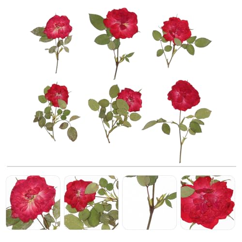Set de flores secas para manualidades DIY FUOYLOO miniatura 4