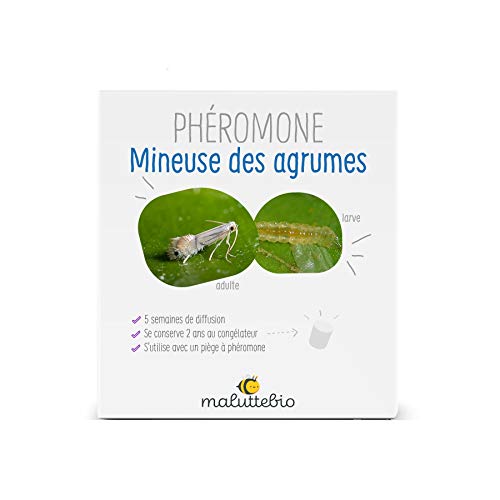 Mineuse des agrumes dégâts, quelles solutions — free download