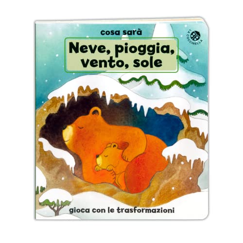 Neve, pioggia, vento o sole? Le stagioni. Ediz. a colori