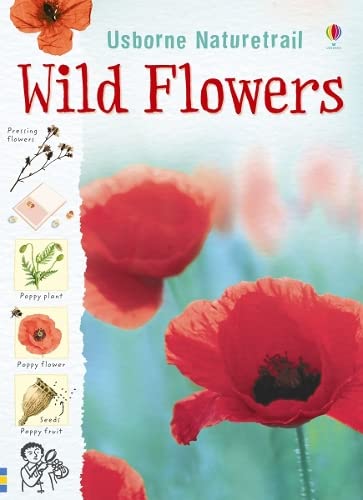 Wild Flowers (Nature Trail)