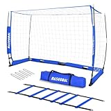 BaseGoal