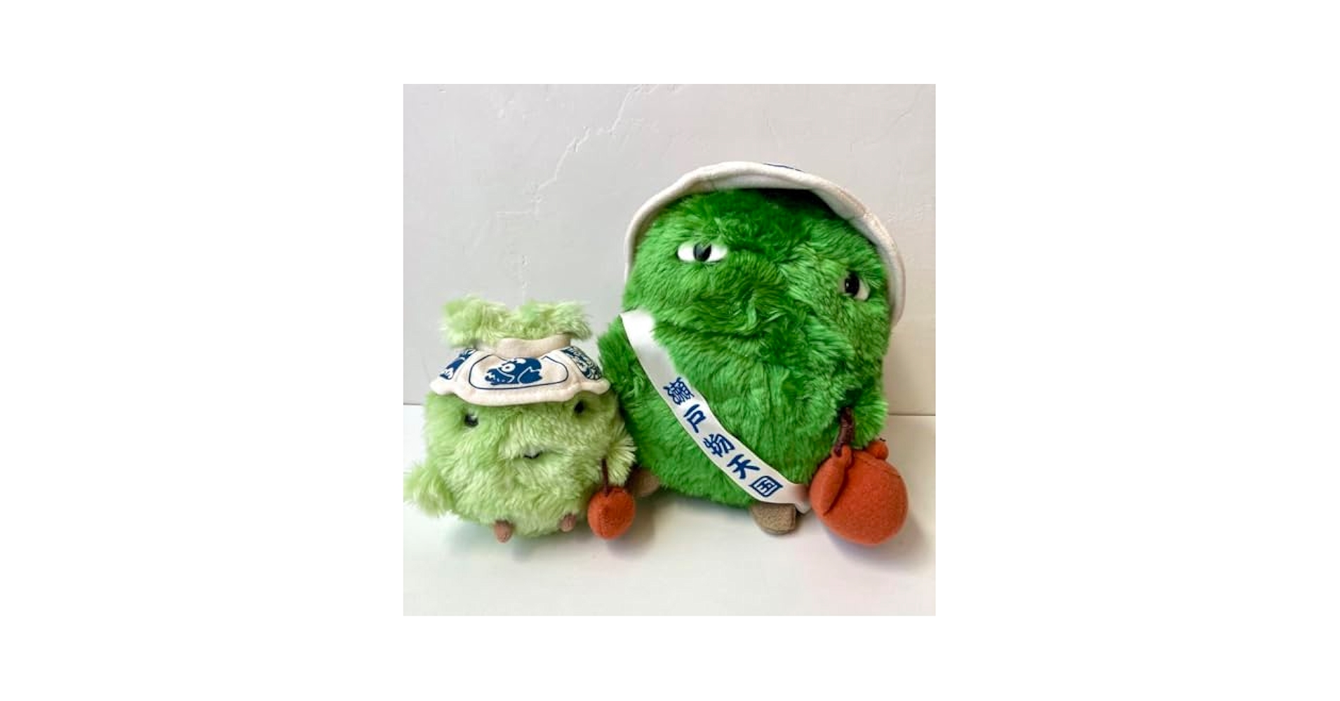 Amazon.co.jp: モリゾー&キッコロ ぬいぐるみ ご当地 瀬戸物 愛