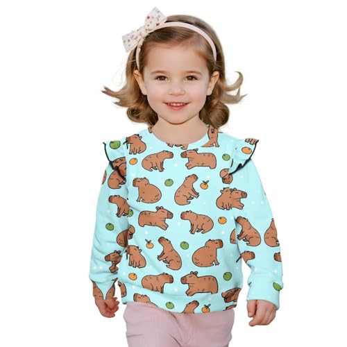 Long Sleeve Shirts for Toddler Girls Cute Graphic Fall Tops Ruffle Sweatshirts Age 1-8 Years