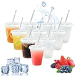 10Pcs Plastic Cups with Lids and Straws, 480ml 16oz Reusable Party Drinking Tumblers, BPA Free Kids Adults White Cold Water Cup for Iced Coffee Smoothie Milkshake Juice Ideal for Travel Camping Picnic