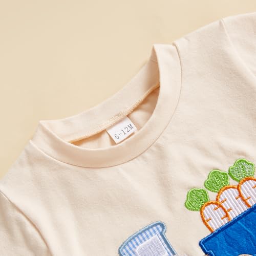 Image of Toddler Baby Boy Easter Rabbit Outfit Short Sleeve Bunny Carrot Smocked T-shirt Elastic Waist Shorts Summer Clothes