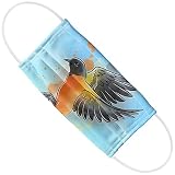 Popfunk Baltimore Oriole Watercolor Bird 1-Ply Reusable Face Mask Covering, Unisex