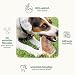 ChronoBalance® S Damwild Hirschgeweih für Hunde Kauspielzeug: 100% Hirschgeweih echt Hundespielzeug zur Zahnpflege, Hunde Kauartikel, Kausnack Hund mit Mineralstoffen & Nährstoffen, S (2er Set)
