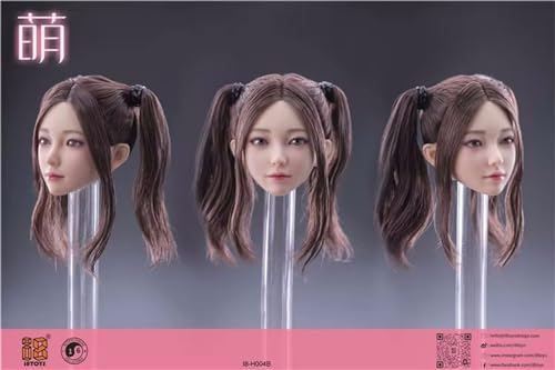 1/6}fBᓪf12C`̏ANVl`ɓKĂ (B)