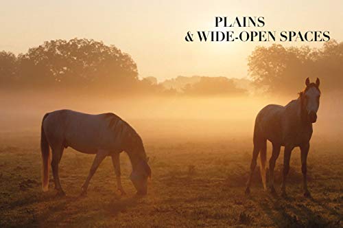 Bob Langrish's World of Horses: A Master Photographer's Lifelong Quest to Capture the Most Magnifi