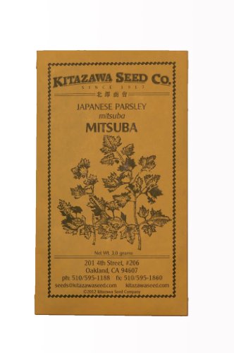 Japanese Parsley - Mitsuba