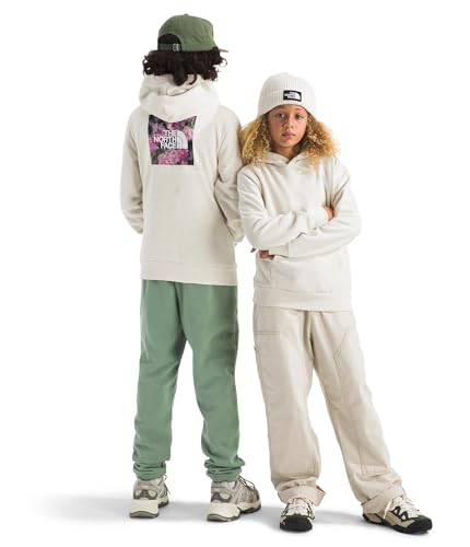 THE NORTH FACE Kids' Evolution Box NSE Pullover Graphic Hoodie | Sweatshirt for Boys & Girls, Kangaroo Hand Pocket