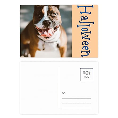 Cartes postales d'Halloween Bulldog Pet pour invitations de soirée