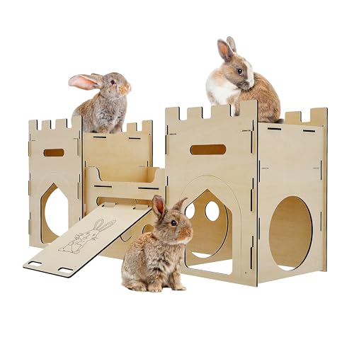 Best Habitat for Rabbits: Creating a Safe and Comfortable Home ...