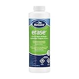 BioGuard Erase® (946mL) Effective Algae Destroyer (SKU 3108)